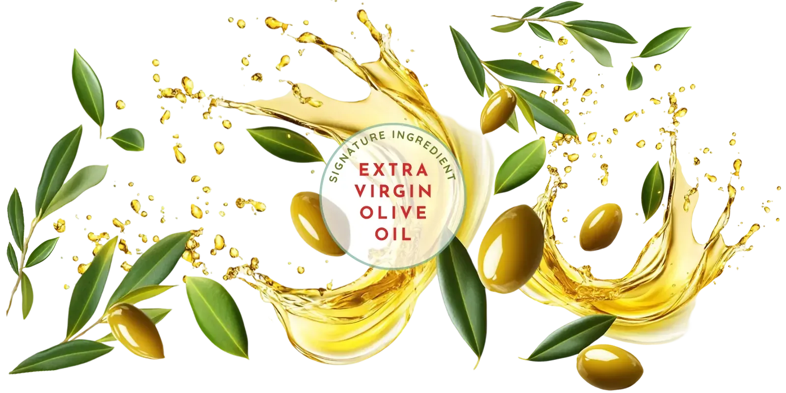Francesco Rinaldi: Signature Ingredient, Extra Virgin Olive Oil (EVOO) Graphic